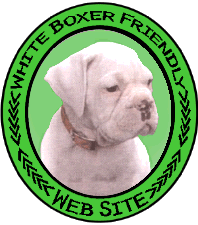 www.pro-boxers.com